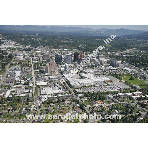 Bellevue - Downtown 2005