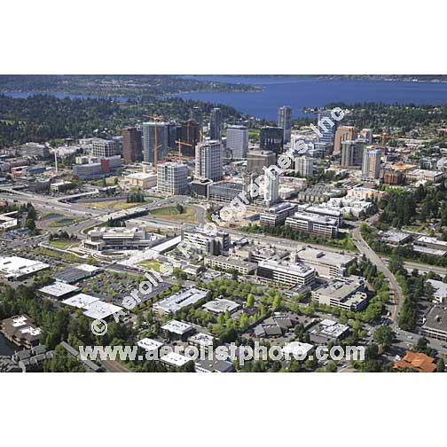 Bellevue - Downtown 2008