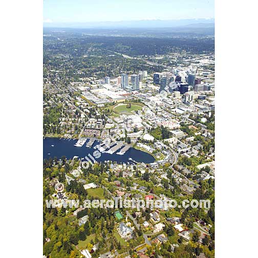 Bellevue - Downtown 2012