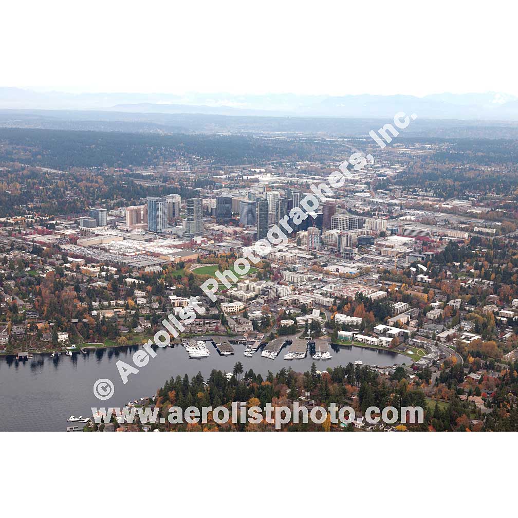 Bellevue - Downtown 2013