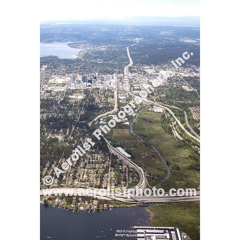 Bellevue - Downtown 2020