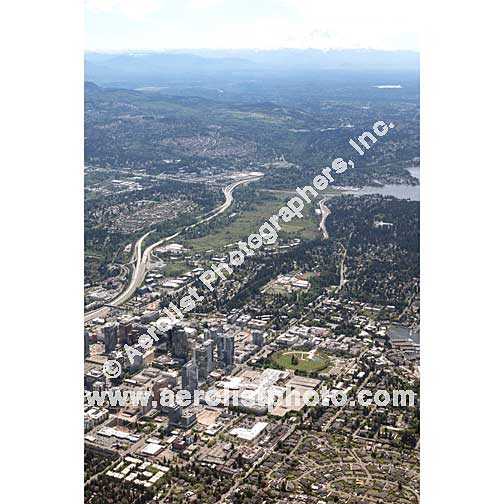 Bellevue - Downtown 2020