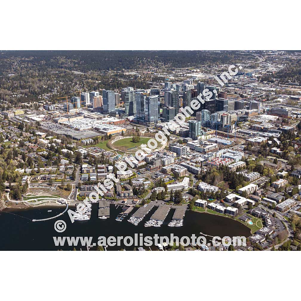 Bellevue - Downtown 2021