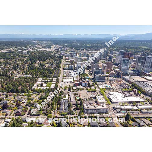 Bellevue - Downtown 2021