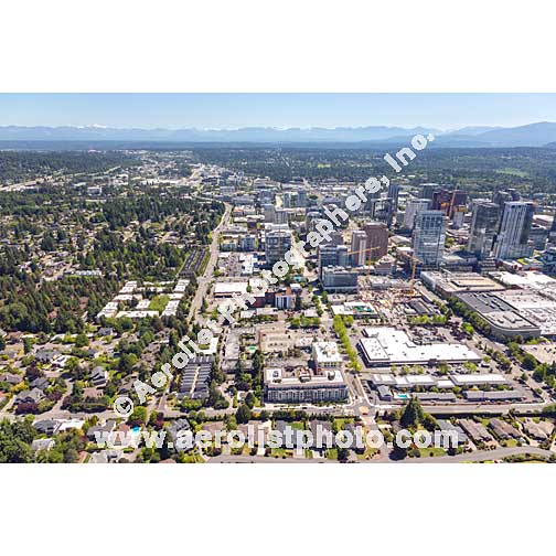 Bellevue - Downtown 2021