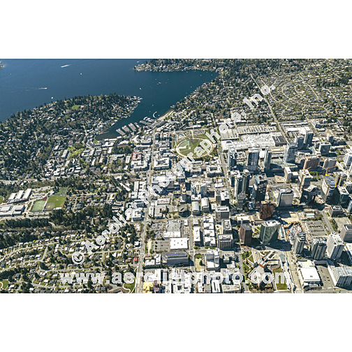 Bellevue - Downtown 2023