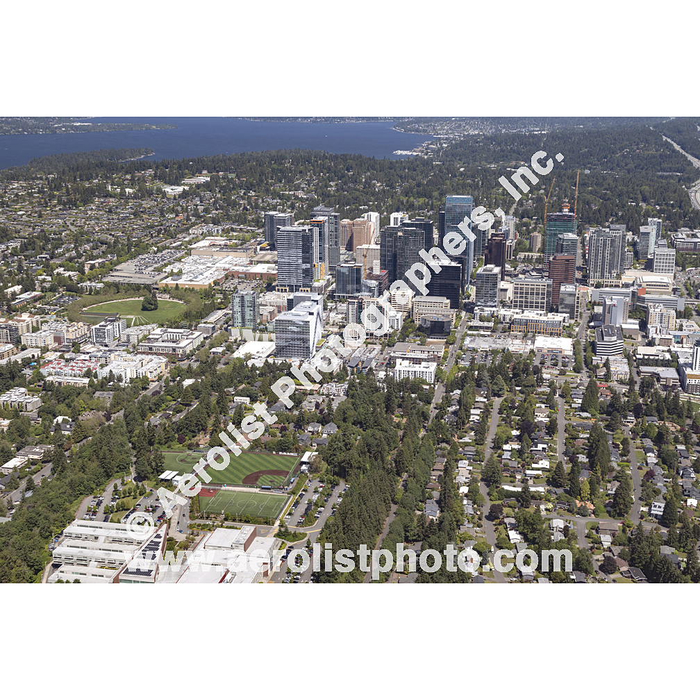 Bellevue - Downtown 2024