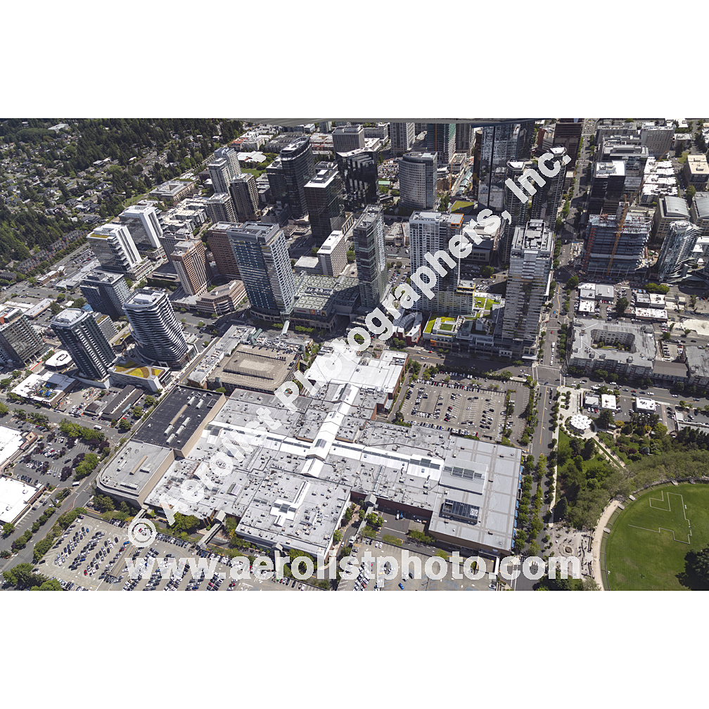 Bellevue - Downtown 2024