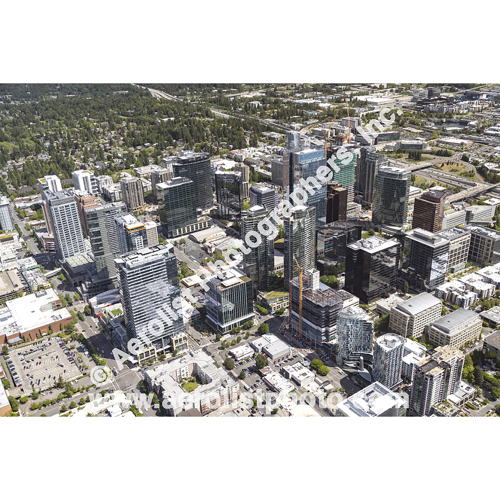 Bellevue - Downtown 2024