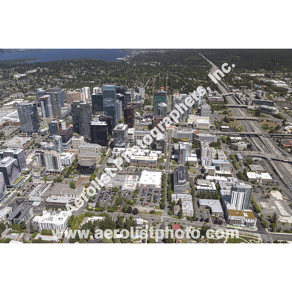 Bellevue - Downtown 2024