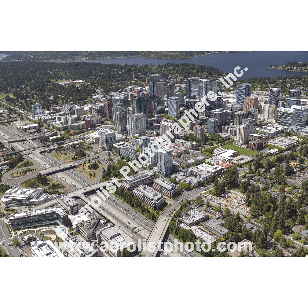 Bellevue - Downtown 2024