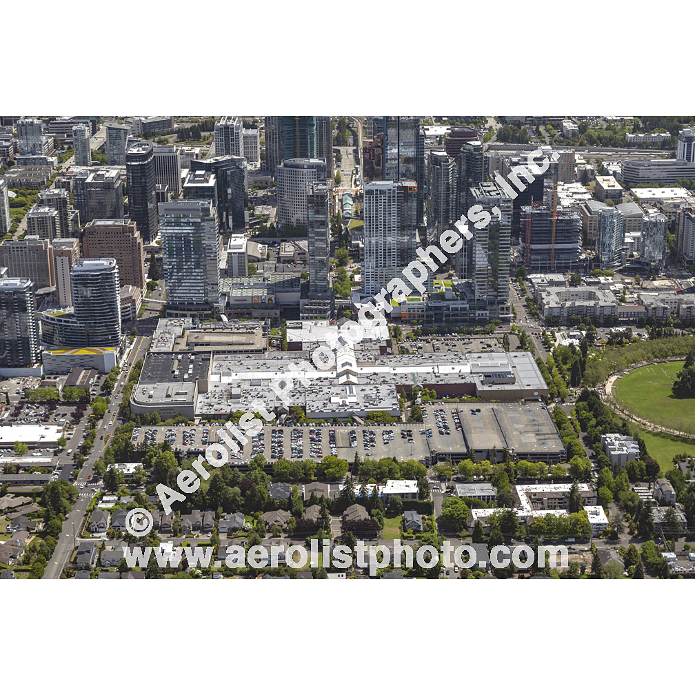 Bellevue - Downtown 2024