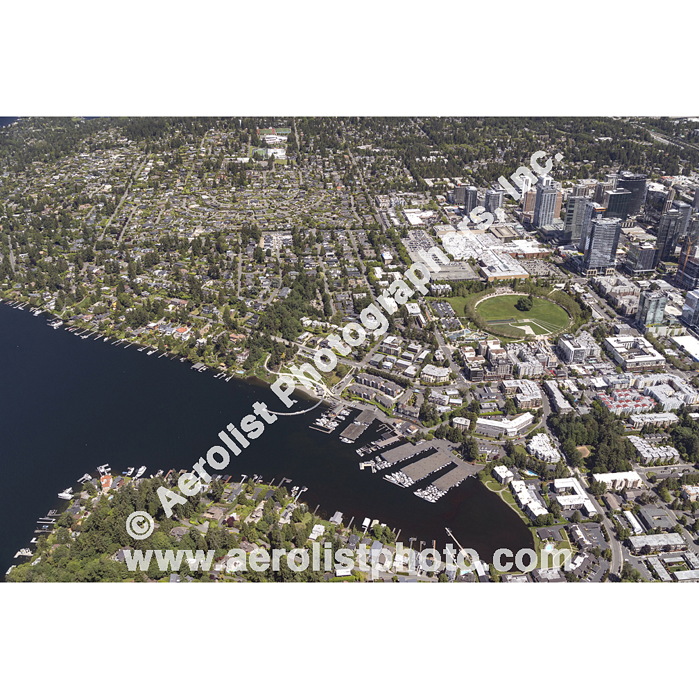 Bellevue - Downtown 2024