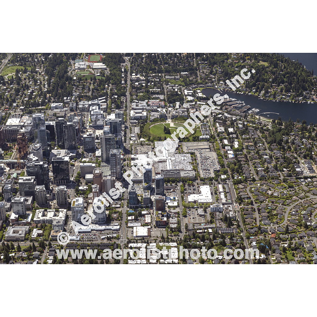 Bellevue - Downtown 2024