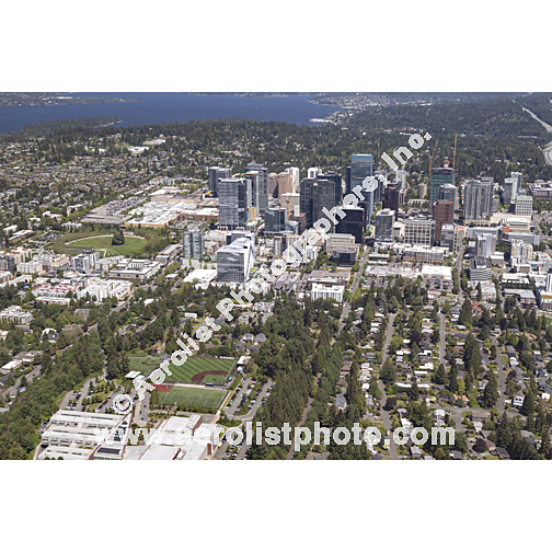 Bellevue - Downtown 2024