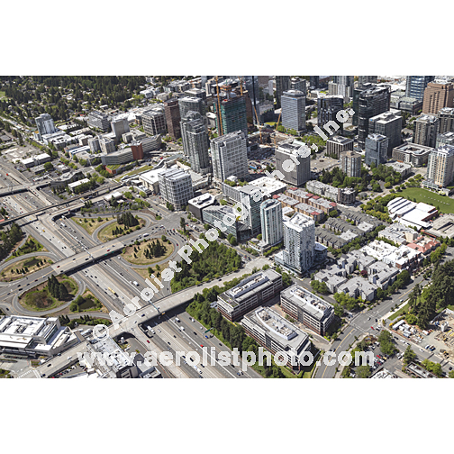 Bellevue - Downtown 2024