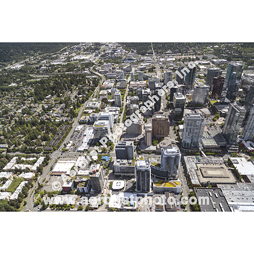 Bellevue - Downtown 2024