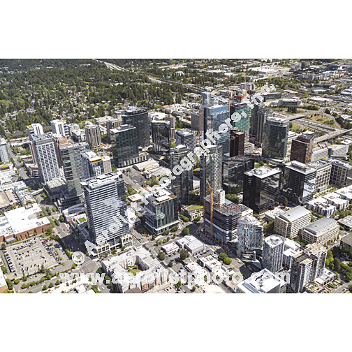 Bellevue - Downtown 2024