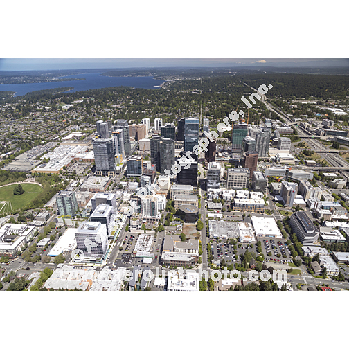 Bellevue - Downtown 2024