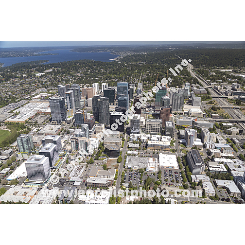 Bellevue - Downtown 2024