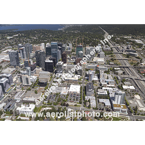 Bellevue - Downtown 2024