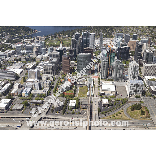 Bellevue - Downtown 2024