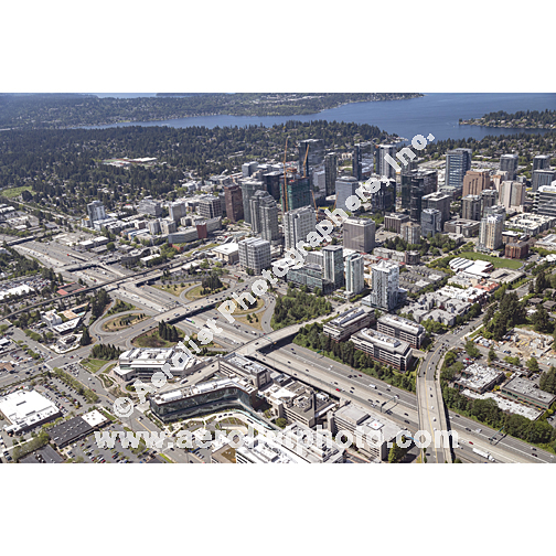 Bellevue - Downtown 2024