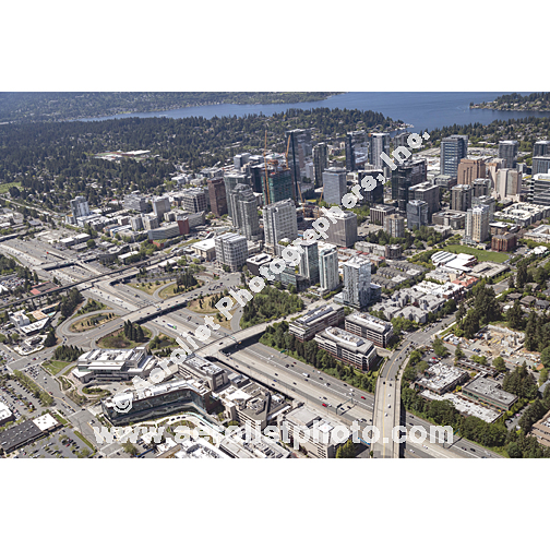 Bellevue - Downtown 2024