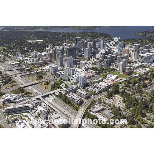 Bellevue - Downtown 2024