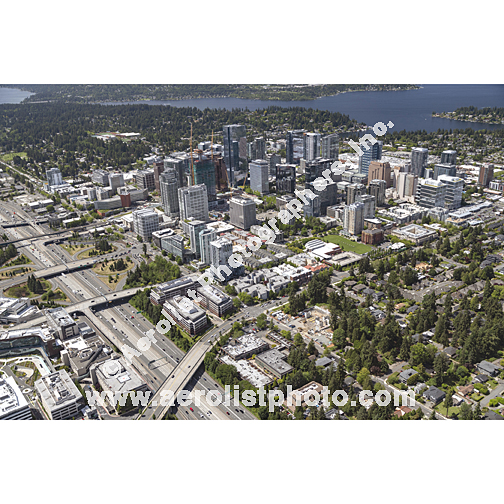 Bellevue - Downtown 2024