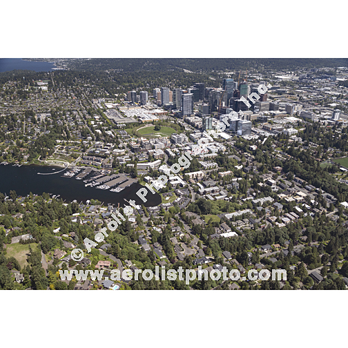 Bellevue - Downtown 2024