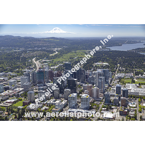 Bellevue - Downtown 2024