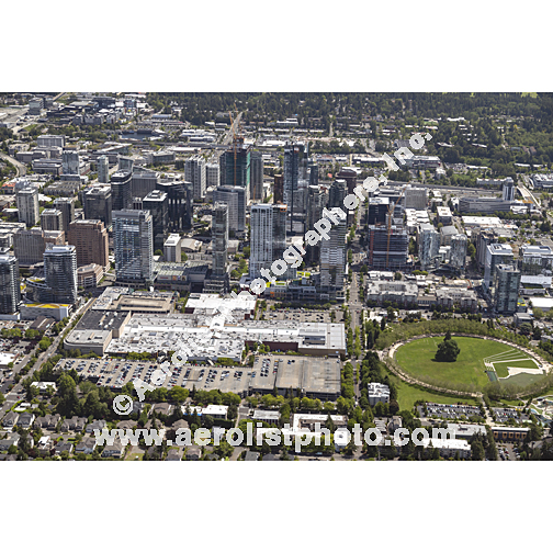 Bellevue - Downtown 2024