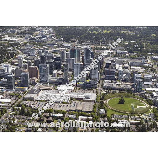 Bellevue - Downtown 2024