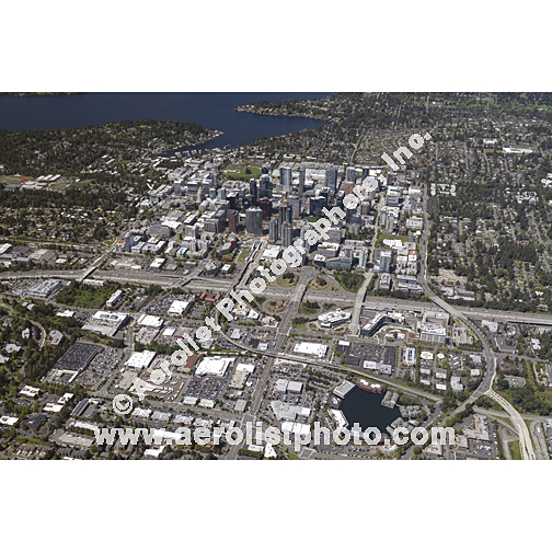 Bellevue - Downtown 2024