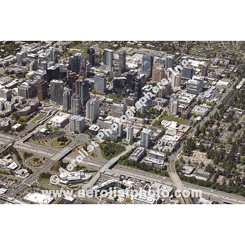 Bellevue - Downtown 2024