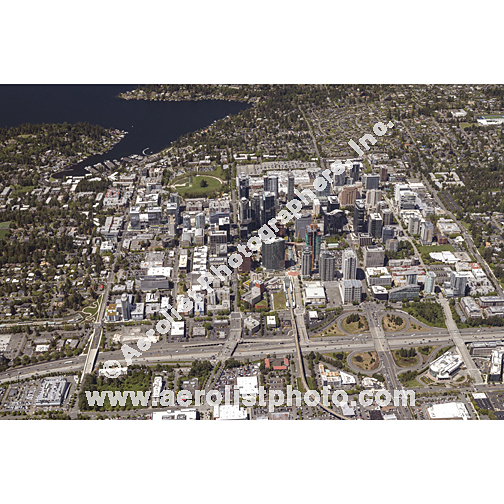 Bellevue - Downtown 2024