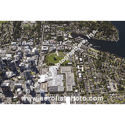 Bellevue - Downtown 2024