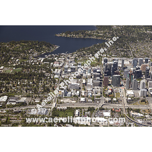 Bellevue - Downtown 2024