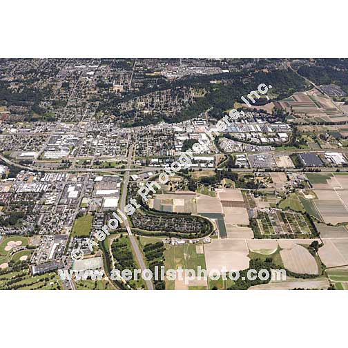 Kent Valley - Central 2017