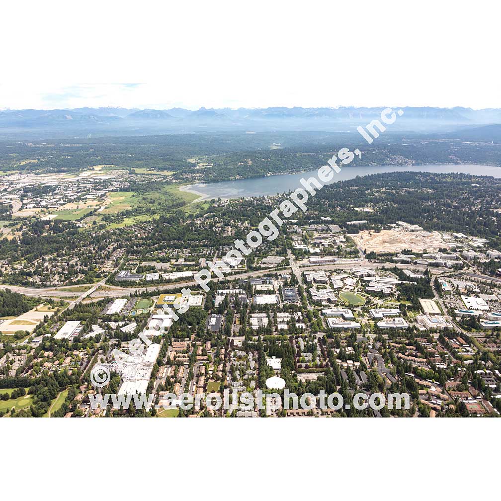 Redmond - South / Bellevue NE 2019