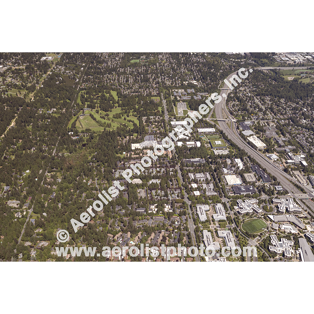 Redmond - South / Bellevue NE 2024