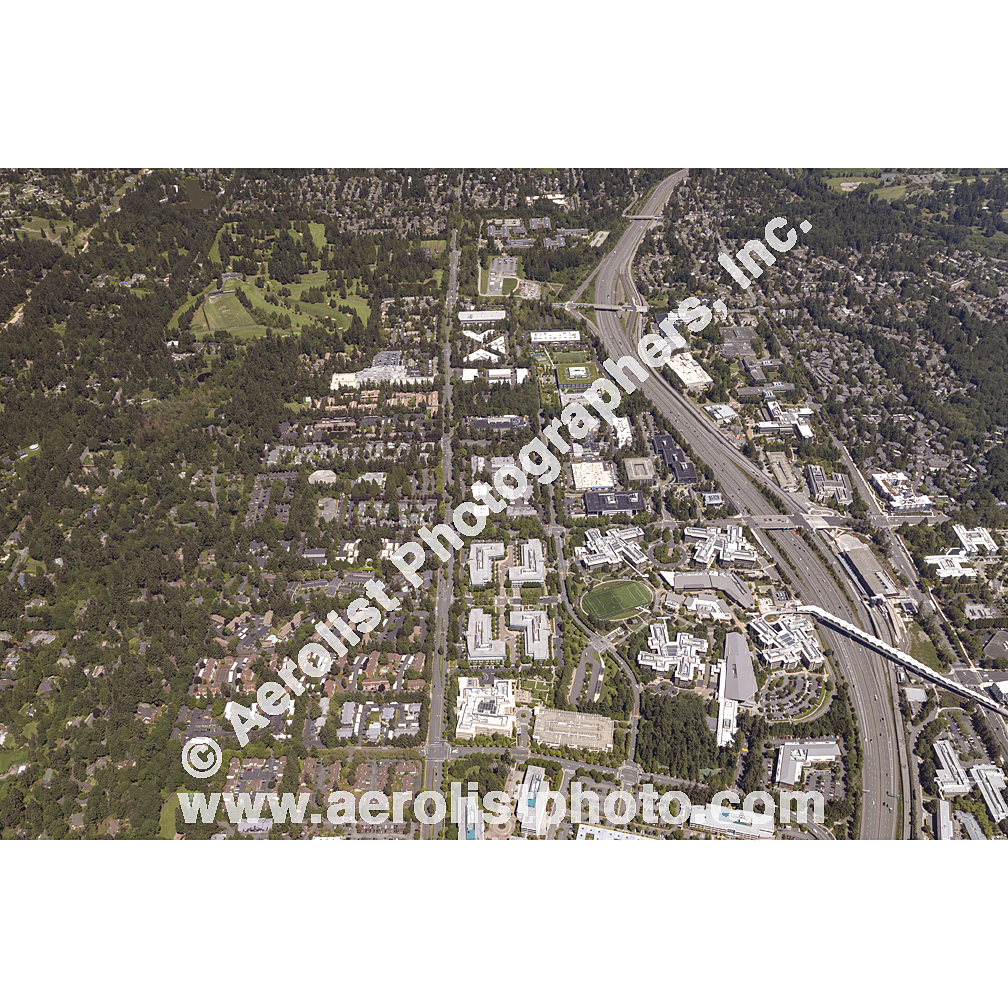 Redmond - South / Bellevue NE 2024