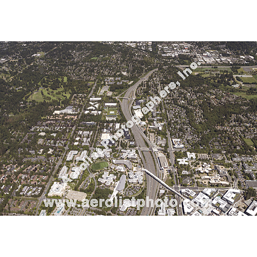 Redmond - South / Bellevue NE 2024