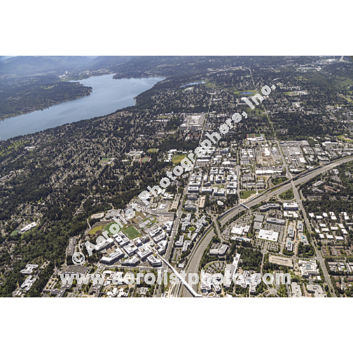 Redmond - South / Bellevue NE 2024