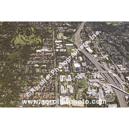 Redmond - South / Bellevue NE 2024