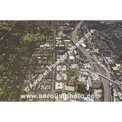 Redmond - South / Bellevue NE 2024