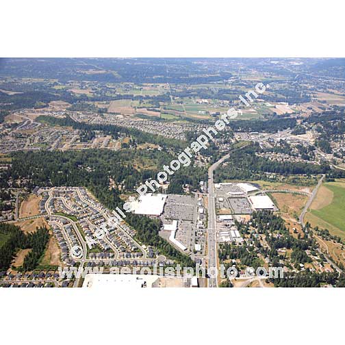 Bonney Lake - Central 2010